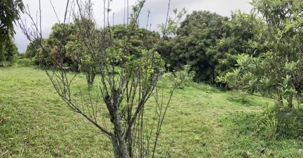 À VENDRE – Terrain 500 m² – Bellemene Saint-Paul