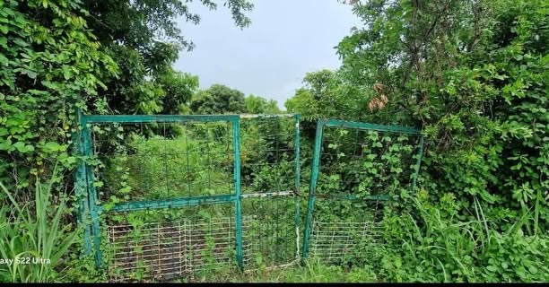 À VENDRE – Terrain 500 m² – Bellemene Saint-Paul